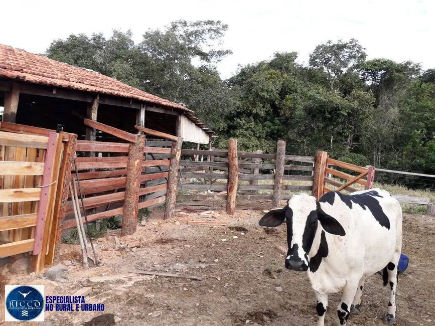 Foto 5 de Chácara com 3 quartos à venda, 10m2 em Itapuranga - GO