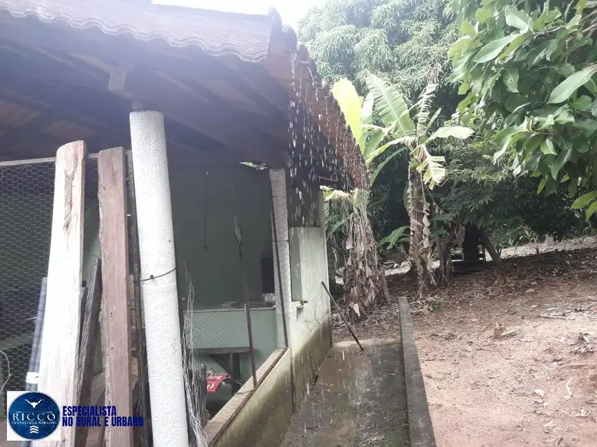 Foto 7 de Chácara com 3 quartos à venda, 10m2 em Itapuranga - GO