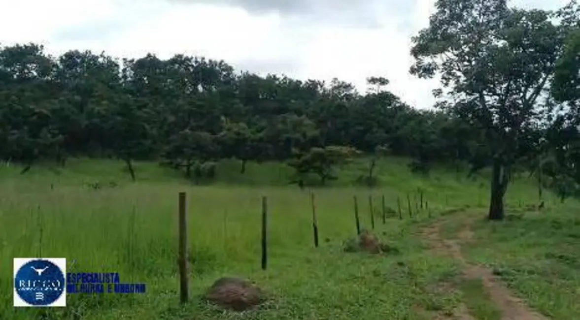 Foto 8 de Chácara com 3 quartos à venda, 10m2 em Itapuranga - GO