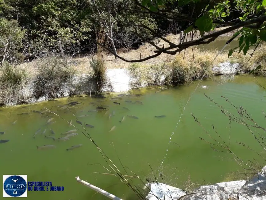 Foto 4 de Chácara com 3 quartos à venda, 10m2 em Itapuranga - GO