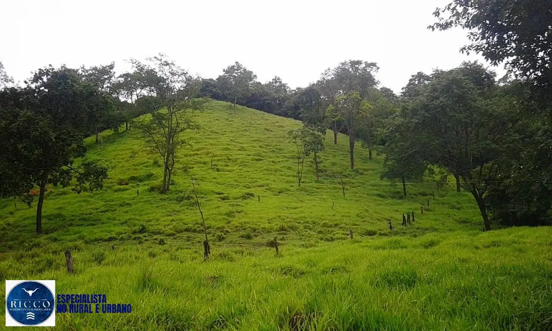Foto 1 de Chácara com 3 quartos à venda, 10m2 em Itapuranga, GO