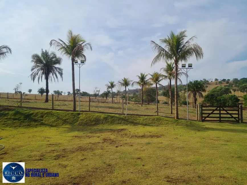 Foto 1 de Chácara com 4 quartos à venda, 42350m2 em Goianira - GO