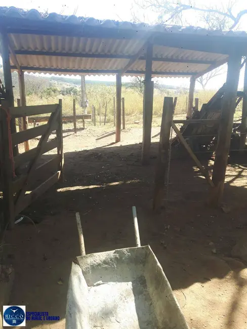 Foto 7 de Chácara com 4 quartos à venda, 42350m2 em Goianira - GO