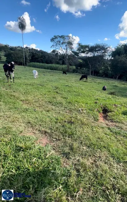 Foto 6 de Chácara com 4 quartos à venda, 42350m2 em Goianira - GO