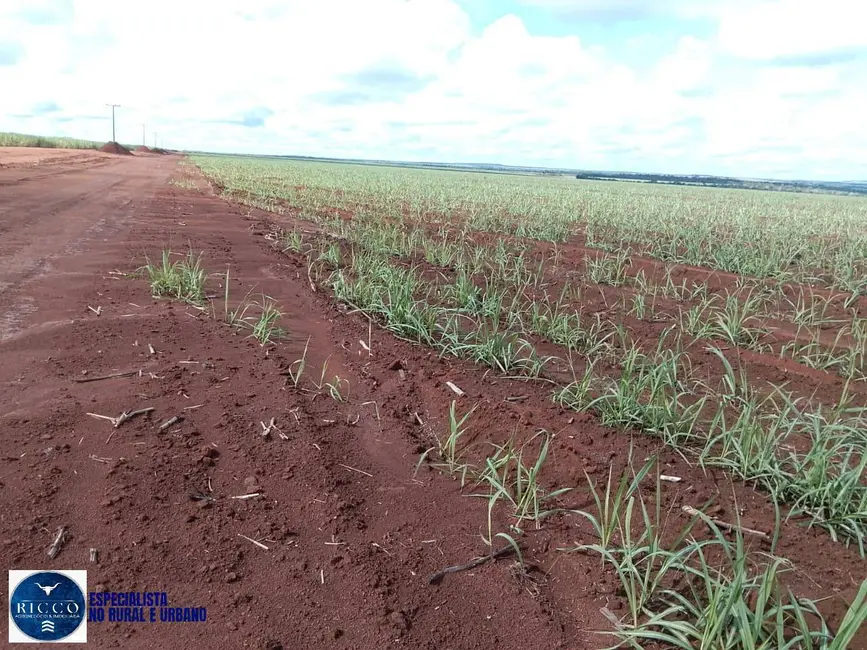 Fazenda / Haras com 3 quartos à venda, 1000m2 em Pedro Afonso - TO - imagem 5 Foto 5 de Fazenda / Haras com 3 quartos à venda, 1000m2 em Pedro Afonso - TO