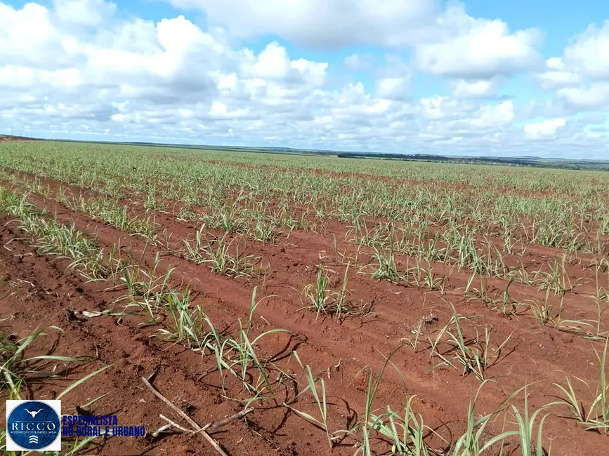 Fazenda / Haras com 3 quartos à venda, 1000m2 em Pedro Afonso - TO - imagem 3 Foto 3 de Fazenda / Haras com 3 quartos à venda, 1000m2 em Pedro Afonso - TO