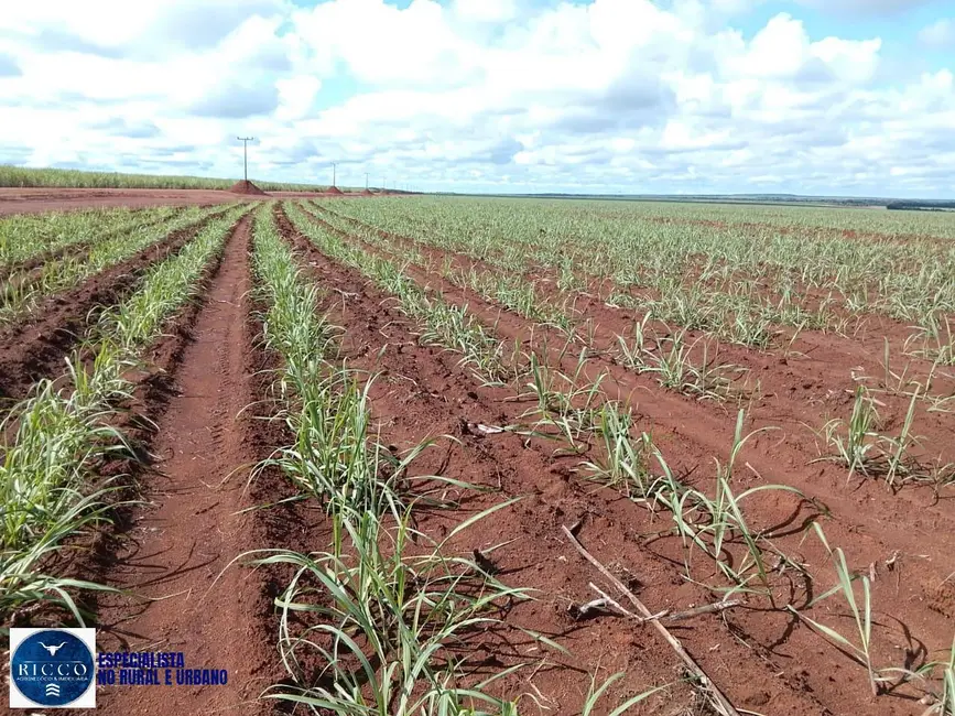Fazenda / Haras com 3 quartos à venda, 1000m2 em Pedro Afonso - TO - imagem 2 Foto 2 de Fazenda / Haras com 3 quartos à venda, 1000m2 em Pedro Afonso - TO