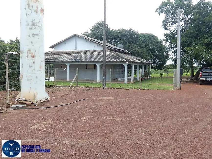 Fazenda / Haras com 3 quartos à venda, 1000m2 em Pedro Afonso - TO - imagem 9 Foto 9 de Fazenda / Haras com 3 quartos à venda, 1000m2 em Pedro Afonso - TO