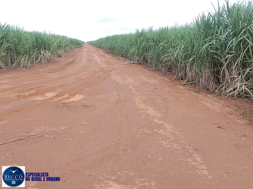 Fazenda / Haras com 3 quartos à venda, 1000m2 em Pedro Afonso - TO - imagem 7 Foto 7 de Fazenda / Haras com 3 quartos à venda, 1000m2 em Pedro Afonso - TO