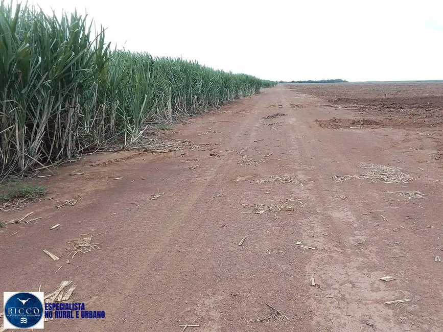 Fazenda / Haras com 3 quartos à venda, 1000m2 em Pedro Afonso - TO - imagem 6 Foto 6 de Fazenda / Haras com 3 quartos à venda, 1000m2 em Pedro Afonso - TO