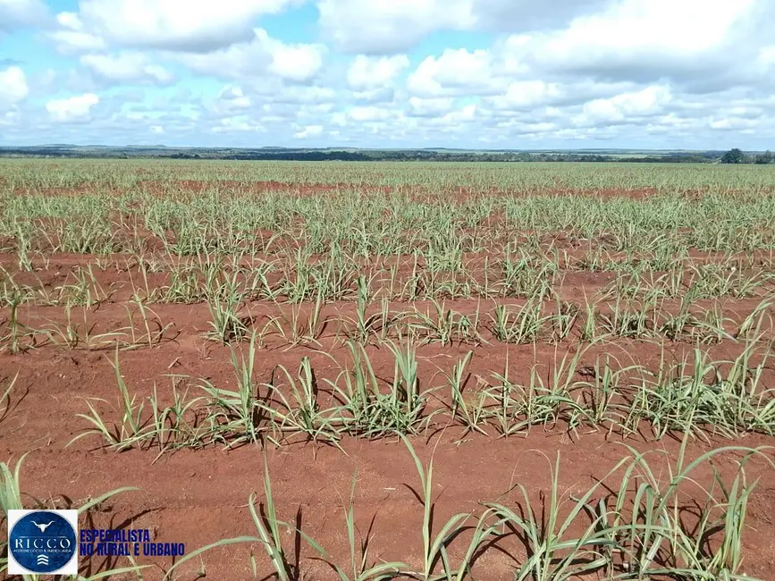 Fazenda / Haras com 3 quartos à venda, 1000m2 em Pedro Afonso - TO - imagem 4 Foto 4 de Fazenda / Haras com 3 quartos à venda, 1000m2 em Pedro Afonso - TO