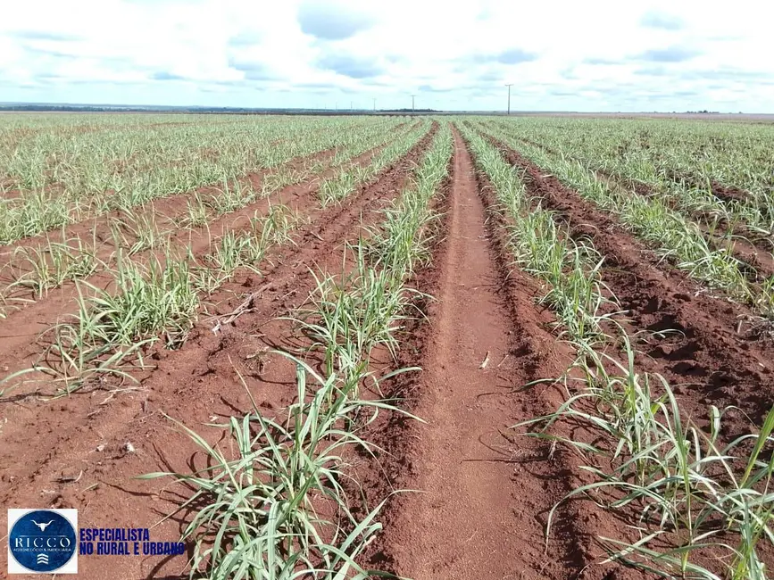 Fazenda / Haras com 3 quartos à venda, 1000m2 em Pedro Afonso - TO - imagem 1 Foto 1 de Fazenda / Haras com 3 quartos à venda, 1000m2 em Pedro Afonso - TO