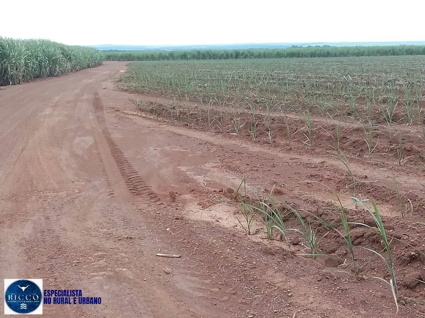 Fazenda / Haras com 3 quartos à venda, 1000m2 em Pedro Afonso - TO - imagem 8 Foto 8 de Fazenda / Haras com 3 quartos à venda, 1000m2 em Pedro Afonso - TO
