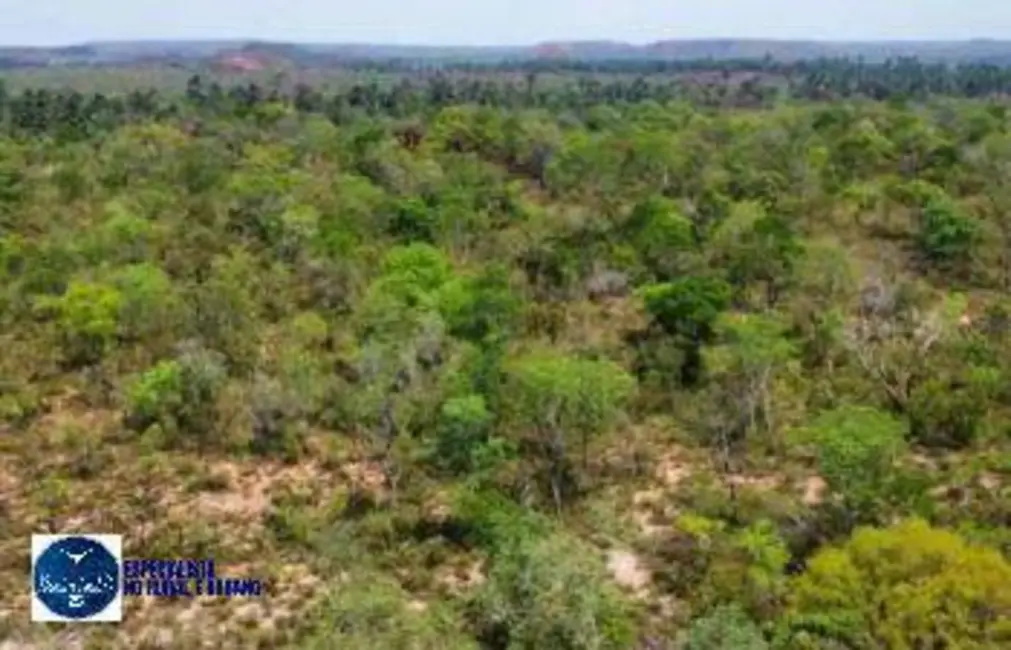 Foto 1 de Fazenda / Haras à venda, 10000m2 em Mateiros - TO