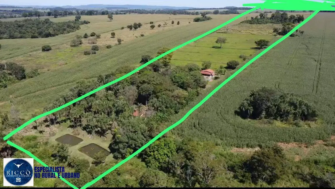 Foto 9 de Chácara com 4 quartos à venda em Trindade - GO