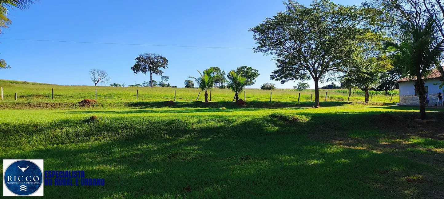 Foto 4 de Chácara com 4 quartos à venda em Trindade - GO