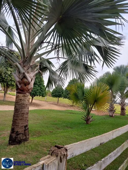 Foto 6 de Chácara com 3 quartos à venda em Trindade - GO