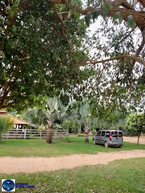 Foto 4 de Chácara com 3 quartos à venda em Trindade - GO