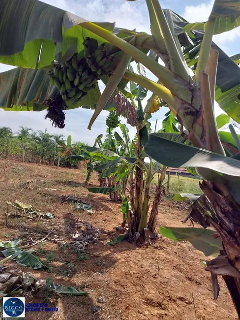 Foto 9 de Chácara com 3 quartos à venda em Trindade - GO