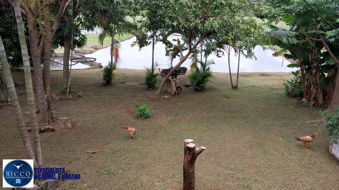 Foto 5 de Chácara com 3 quartos à venda em Trindade - GO