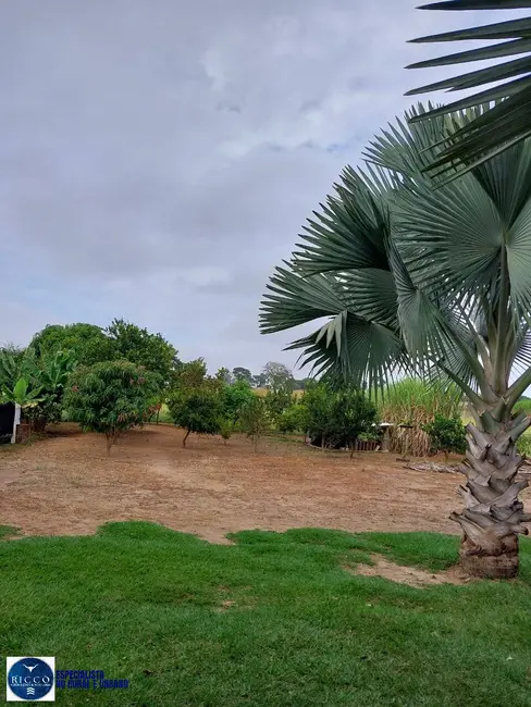 Foto 7 de Chácara com 3 quartos à venda em Trindade - GO