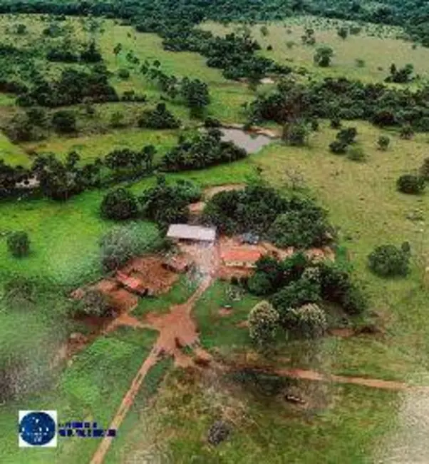 Foto 7 de Fazenda / Haras com 3 quartos à venda, 122m2 em Araguacu - TO
