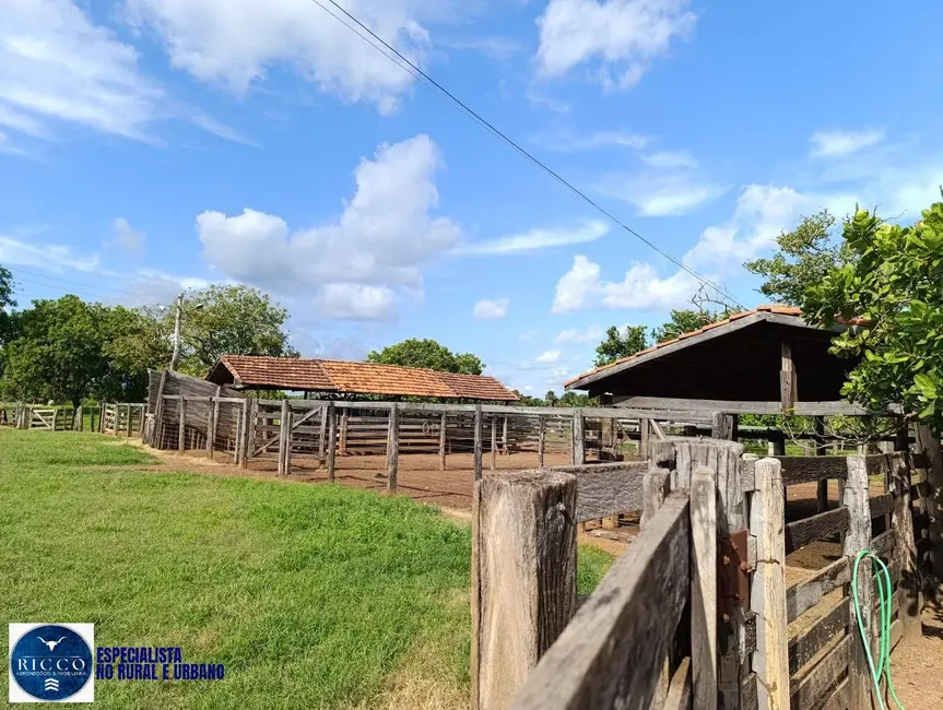 Foto 2 de Fazenda / Haras com 3 quartos à venda, 122m2 em Araguacu - TO