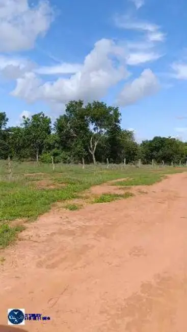 Foto 6 de Fazenda / Haras com 3 quartos à venda, 122m2 em Araguacu - TO