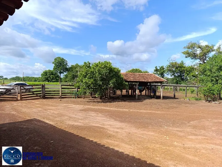 Foto 1 de Fazenda / Haras com 3 quartos à venda, 122m2 em Araguacu - TO