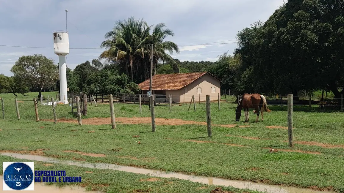 Foto 1 de Fazenda / Haras com 3 quartos à venda, 115m2 em Araguacu - TO