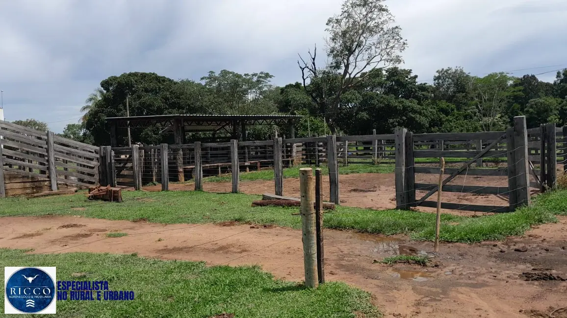 Foto 2 de Fazenda / Haras com 3 quartos à venda, 115m2 em Araguacu - TO