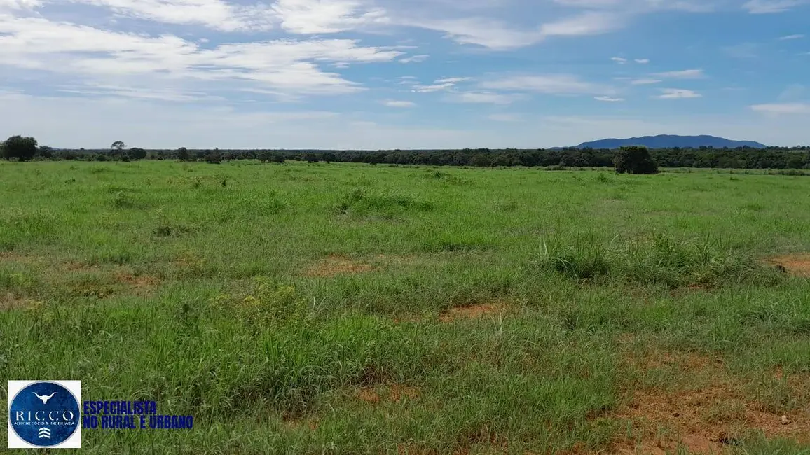 Foto 8 de Fazenda / Haras com 3 quartos à venda, 115m2 em Araguacu - TO