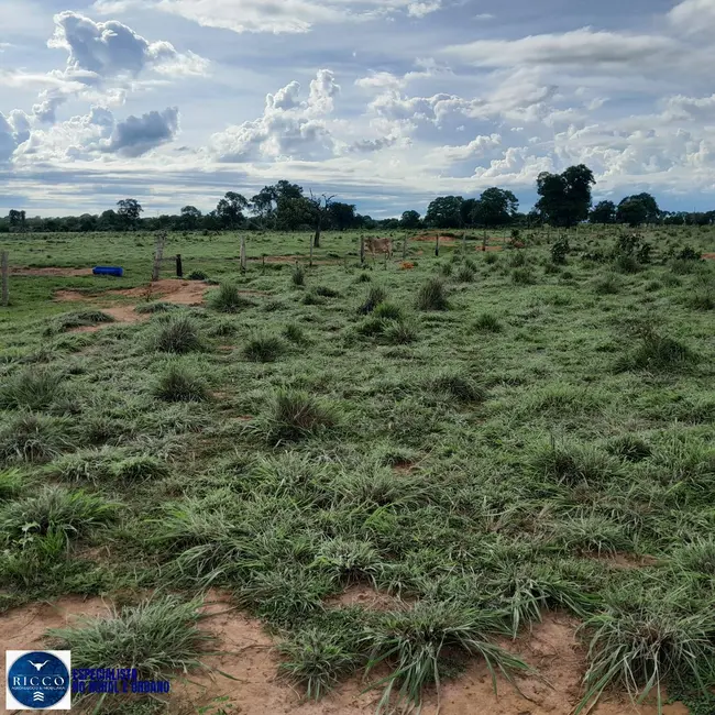 Foto 5 de Fazenda / Haras com 3 quartos à venda, 115m2 em Araguacu - TO