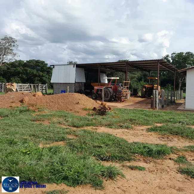Foto 7 de Fazenda / Haras com 3 quartos à venda, 115m2 em Araguacu - TO