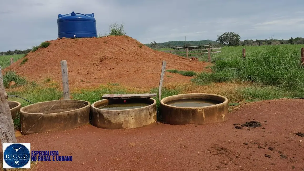 Foto 4 de Fazenda / Haras com 3 quartos à venda, 115m2 em Araguacu - TO