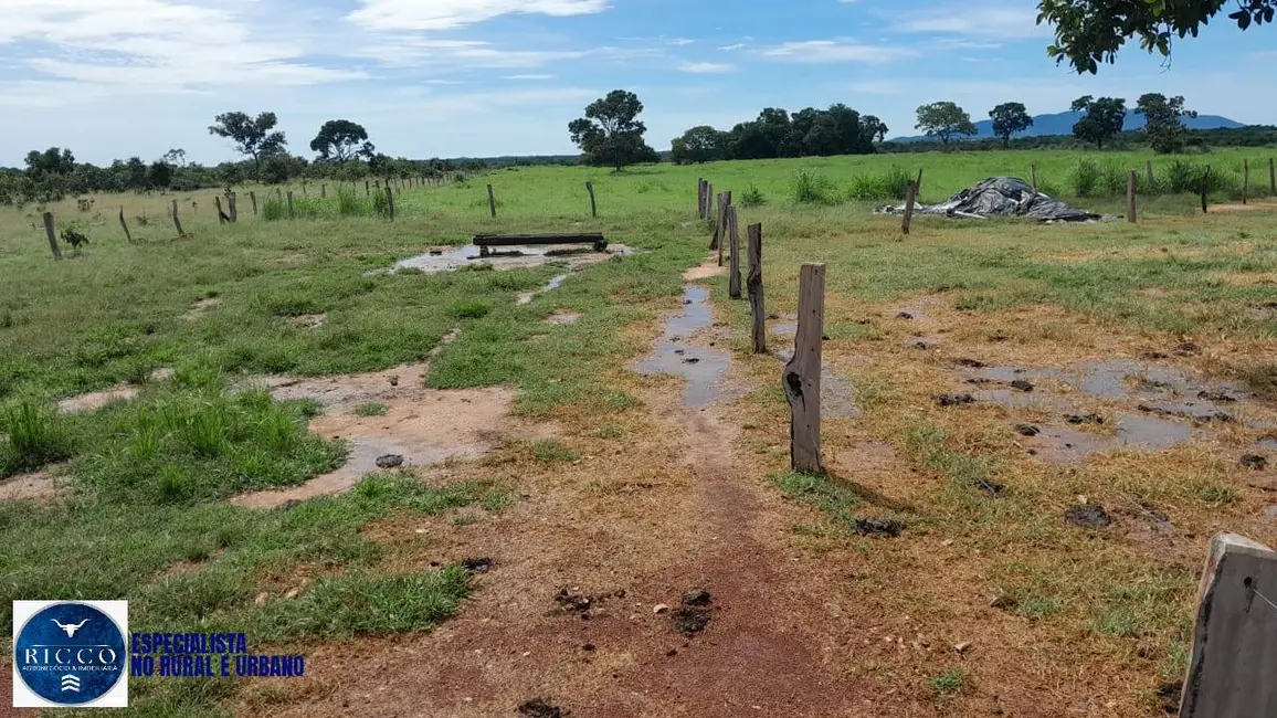 Foto 9 de Fazenda / Haras com 3 quartos à venda, 115m2 em Araguacu - TO