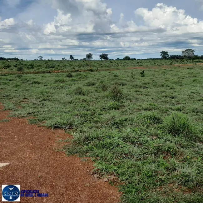 Foto 3 de Fazenda / Haras com 3 quartos à venda, 115m2 em Araguacu - TO