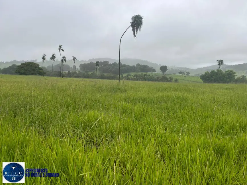 Chácara à venda em Taquaral De Goias - GO - imagem 2 Foto 2 de Chácara à venda em Taquaral De Goias - GO