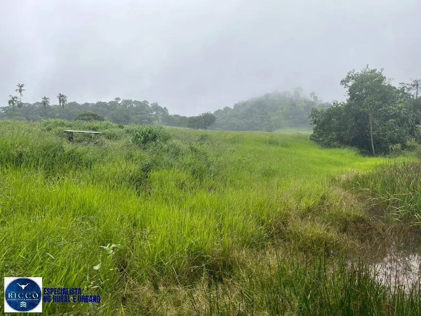Chácara à venda em Taquaral De Goias - GO - imagem 3 Foto 3 de Chácara à venda em Taquaral De Goias - GO