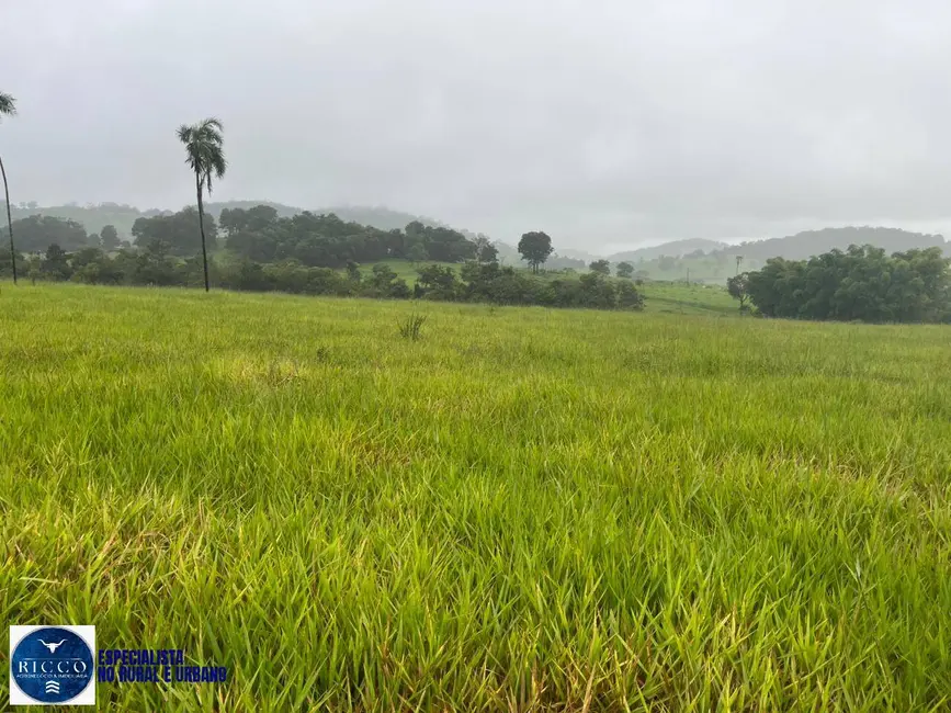 Chácara à venda em Taquaral De Goias - GO - imagem 5 Foto 5 de Chácara à venda em Taquaral De Goias - GO
