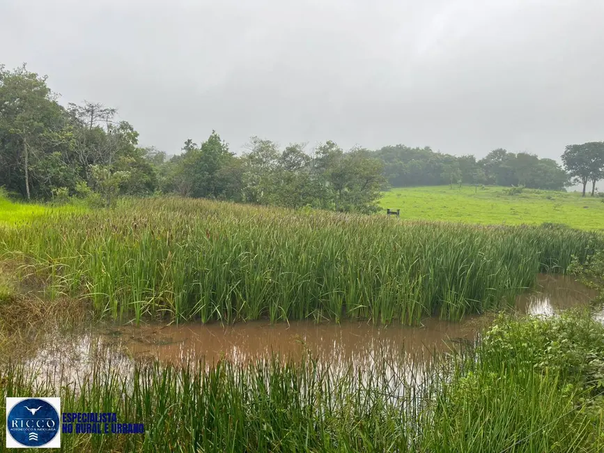 Chácara à venda em Taquaral De Goias - GO - imagem 4 Foto 4 de Chácara à venda em Taquaral De Goias - GO