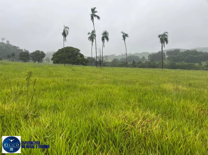 Chácara à venda em Taquaral De Goias - GO - imagem 1 Foto 1 de Chácara à venda em Taquaral De Goias - GO