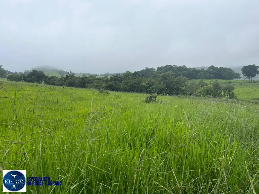 Chácara à venda em Taquaral De Goias - GO - imagem 6 Foto 6 de Chácara à venda em Taquaral De Goias - GO