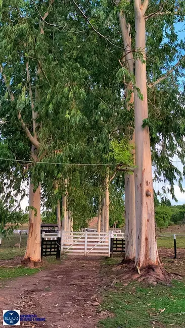 Foto 2 de Fazenda / Haras com 3 quartos à venda, 31m2 em Uruacu - GO