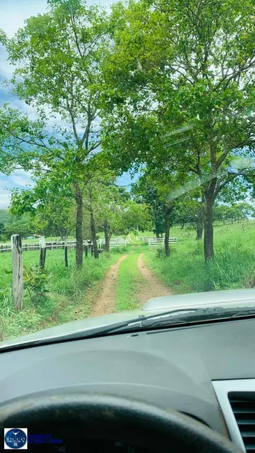 Foto 5 de Fazenda / Haras com 3 quartos à venda, 31m2 em Uruacu - GO