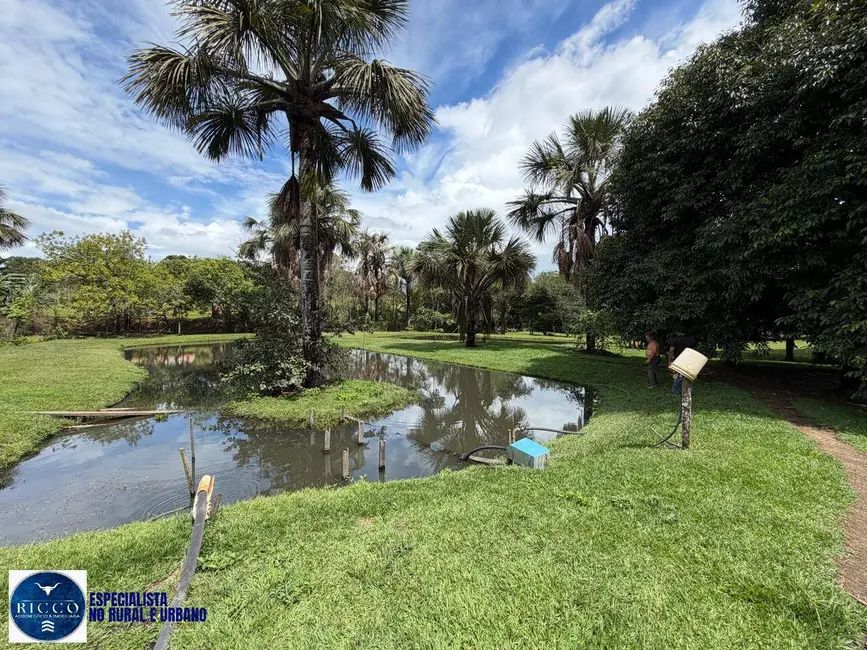 Foto 4 de Chácara com 4 quartos à venda, 12000m2 em Aragoiania - GO