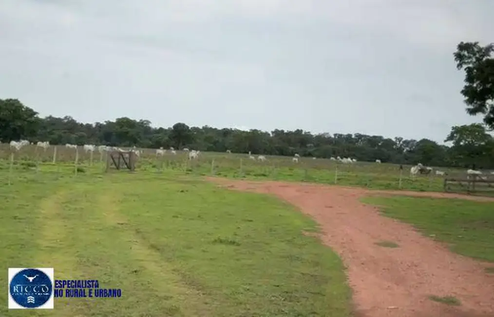 Foto 5 de Fazenda / Haras com 3 quartos à venda, 893m2 em Aragarcas - GO