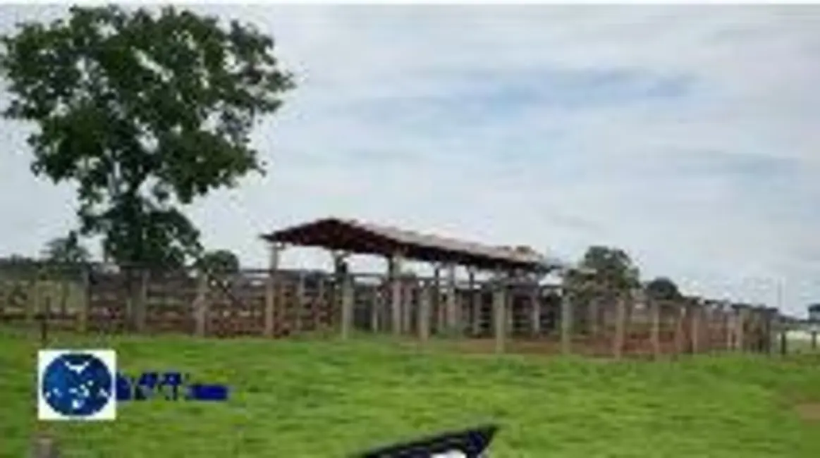 Foto 4 de Fazenda / Haras com 3 quartos à venda, 893m2 em Aragarcas - GO