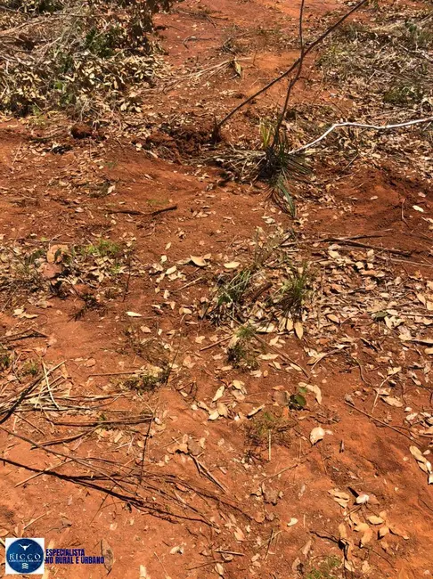 Fazenda / Haras à venda, 198m2 em Pedro Afonso - TO - imagem 7 Foto 7 de Fazenda / Haras à venda, 198m2 em Pedro Afonso - TO