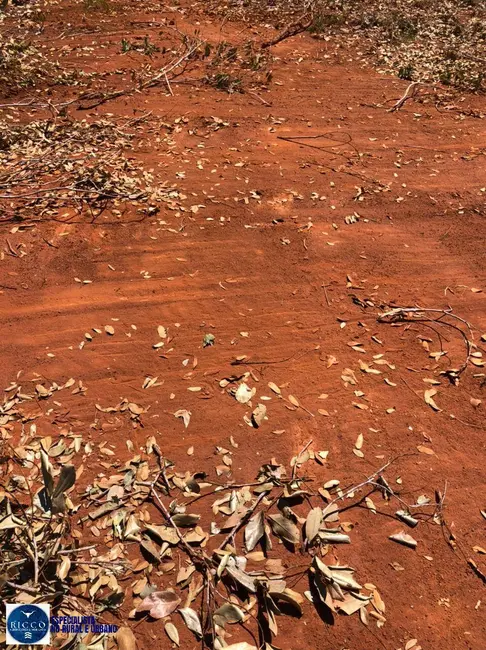 Fazenda / Haras à venda, 198m2 em Pedro Afonso - TO - imagem 6 Foto 6 de Fazenda / Haras à venda, 198m2 em Pedro Afonso - TO